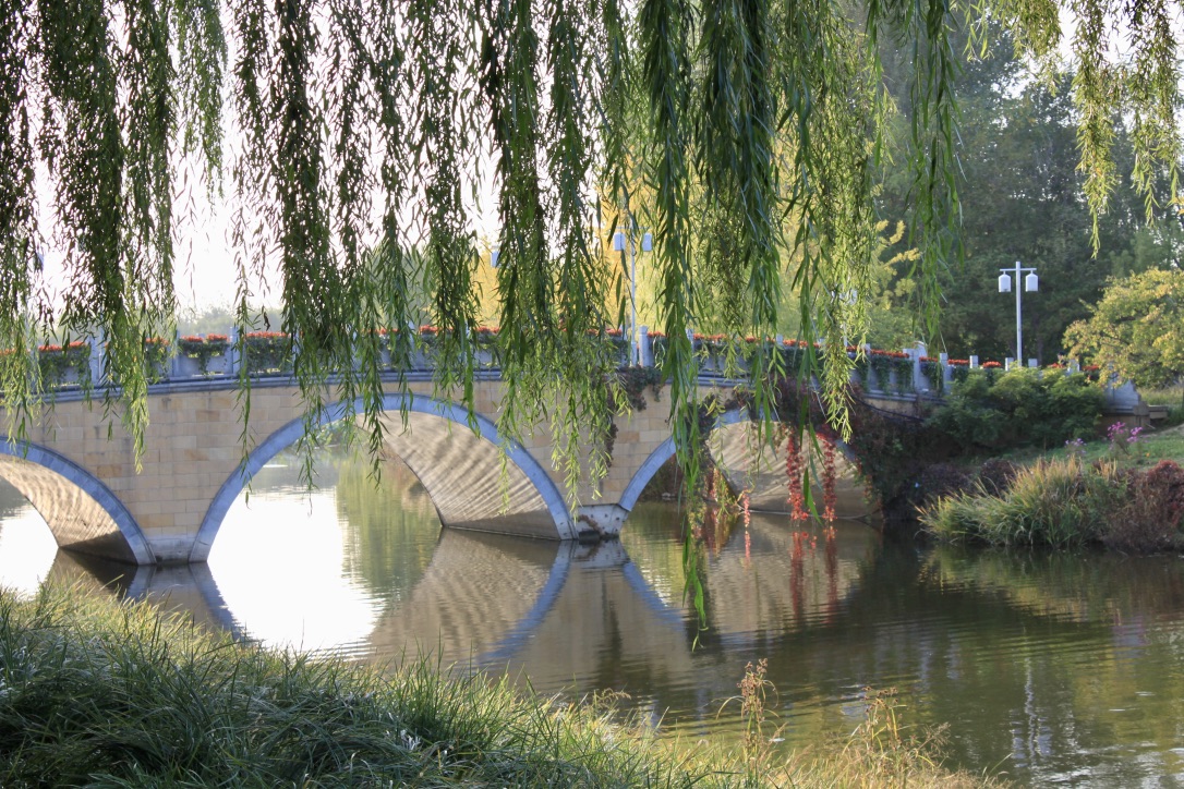 Webinar - klimatilpasning i kinisiske storbyer - Trade Council